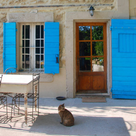 Chat devant la maison des Volets Bleus Provence