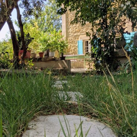 Le jardin